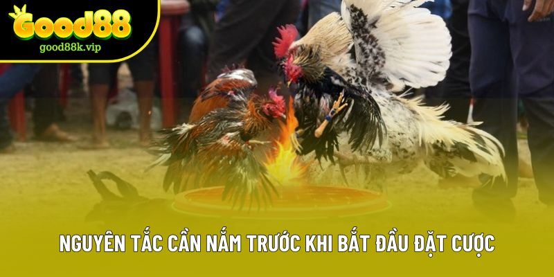 Nguyên tắc cần nắm trước khi bắt đầu đặt cược