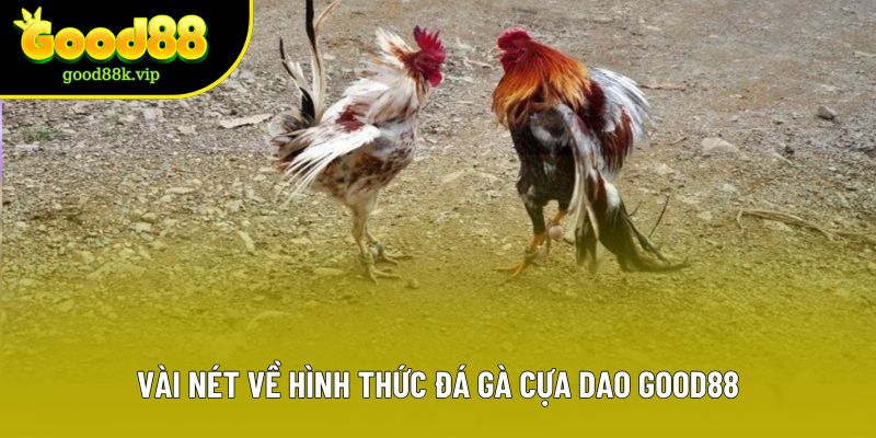 Vài nét về hình thức đá gà cựa dao Good88