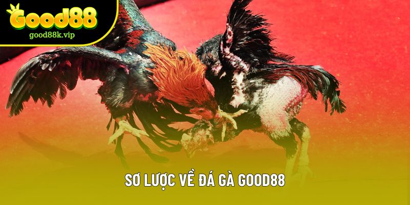 Sơ lược về đá gà GOOD88