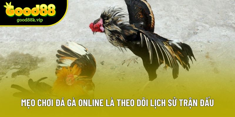 Mẹo chơi đá gà online là theo dõi lịch sử trận đấu
