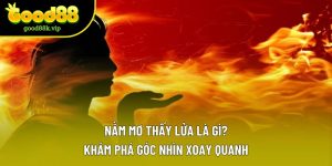 Nằm Mơ Thấy Lửa Là Gì? Khám Phá Góc Nhìn Xoay Quanh