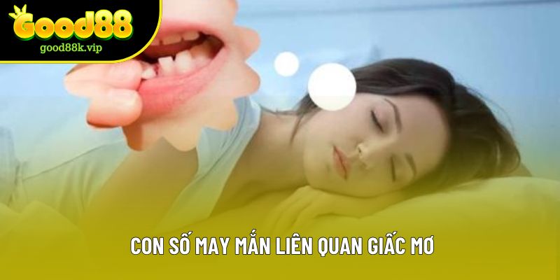  Con số may mắn liên quan giấc mơ