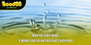 Nằm Mơ Thấy Nước | Ý Nghĩa Sâu Xa Ẩn Sau Giấc Chiêm Bao
