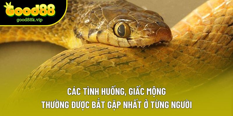 Các tình huống, giấc mộng thường được bắt gặp nhất ở từng người
