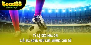 Tỷ Lệ Kèo Nhà Cái – Giải Mã Ngôn Ngữ Của Những Con Số